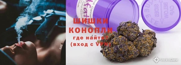 мдпв Бородино