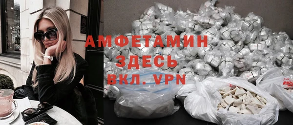 мдпв Бородино
