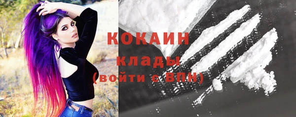 мдпв Бородино
